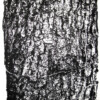 200901_001
