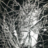 200902_001