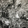 200904_001