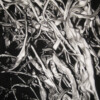 201102_001