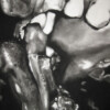 201104_001_b