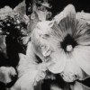 201204_001