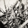 201206_001