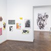 "Epic Orgustation" in der Ausstellung "Amorph", Galerie im Saalbau Neukölln 2020