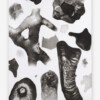 Reißkohle auf Papier/2025 H: 240 cm B: 150 cm